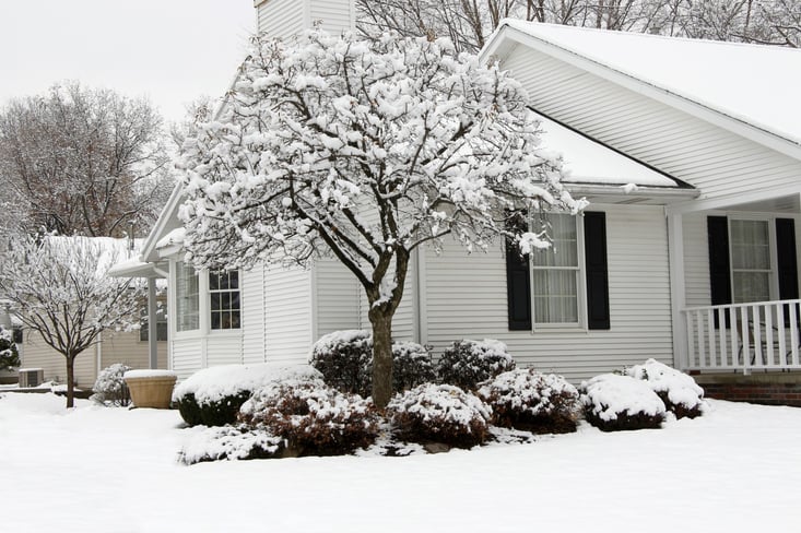 house-in-winter.jpg