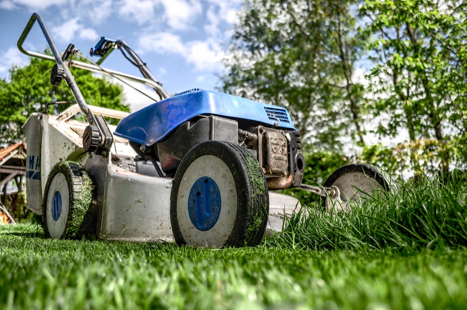The Benefits Of A Push Reel Mower