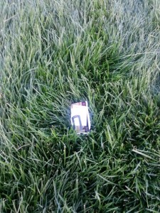 Money Clip buried in the Brutal Rough just a few yards from the fairway 