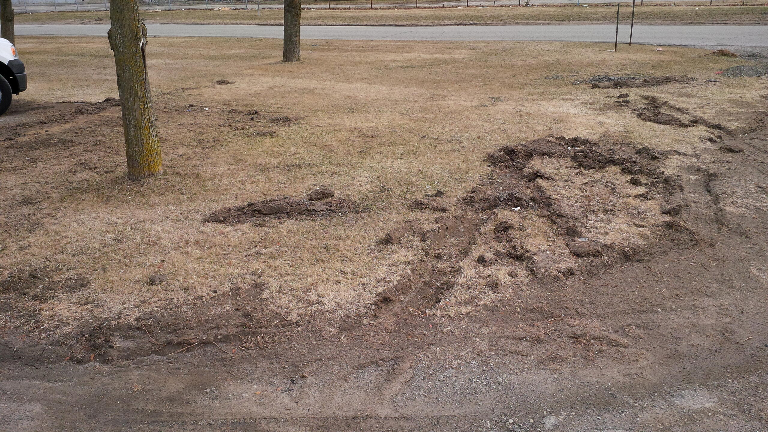 Winter Lawn Tips Snow Plow Damage