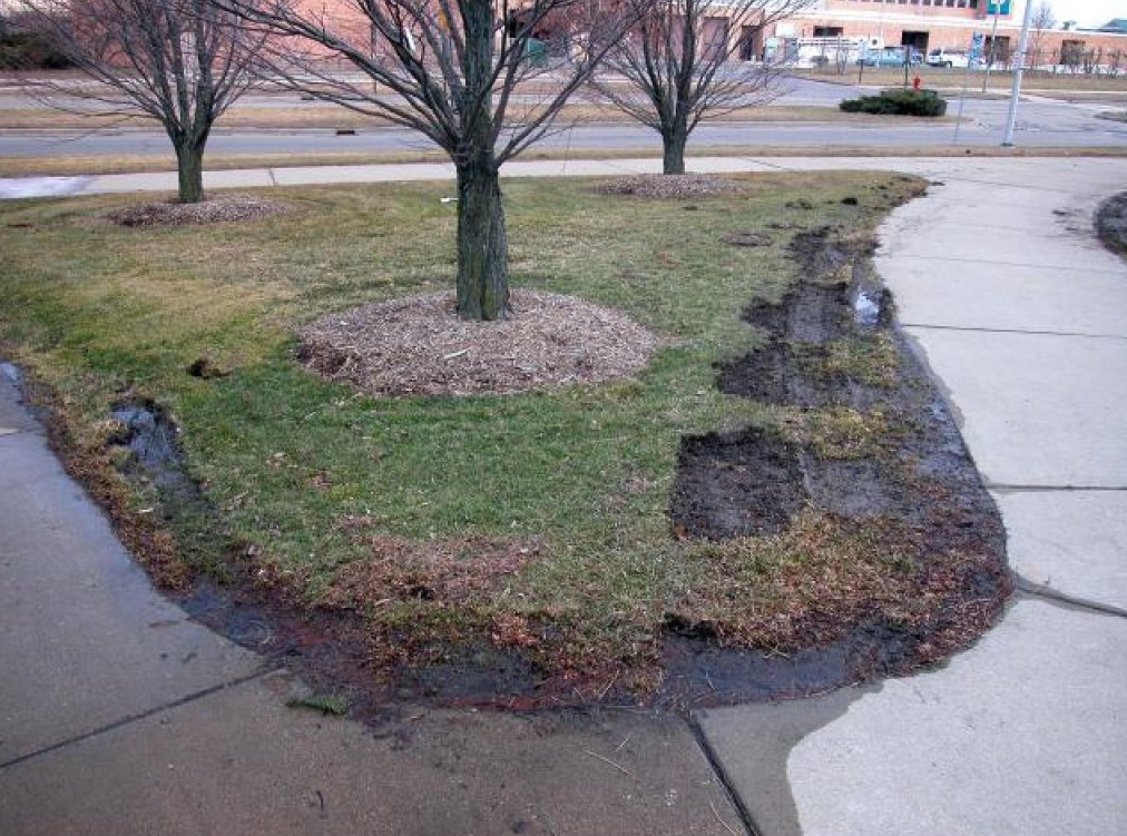 Winter Lawn Tips Snow Plow Damage