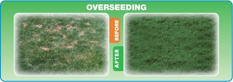 Overseeding-ottawa-van