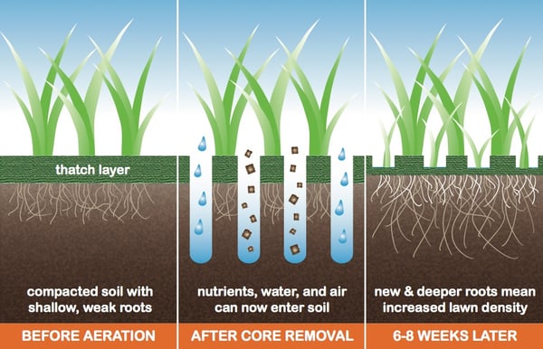 Aeration 01-1