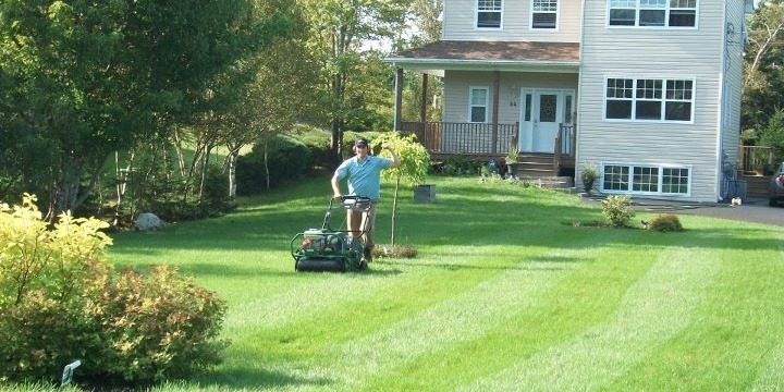 Aerating is one of the most beneficial lawn services.