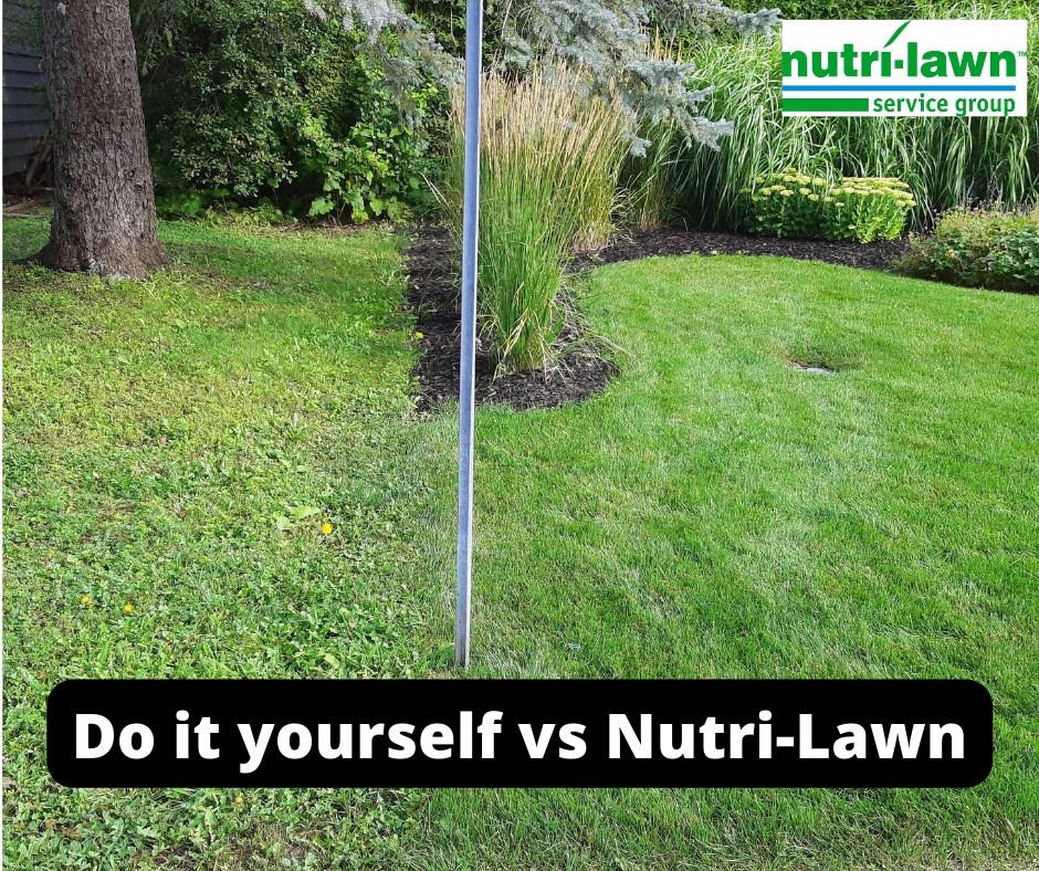 Do it yourself vs Nutri-Lawn