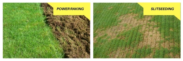 powerrake-slitseed-1.jpg