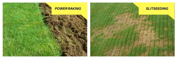 Nutri-Lawn Vancouver | Fall Power Raking & Slit Seeding