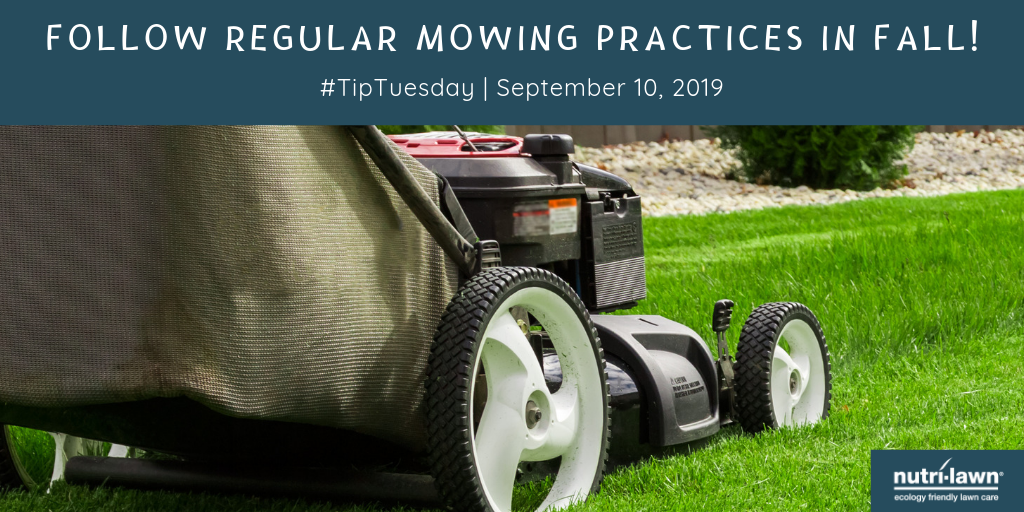 Maintain mowing practices in fall.