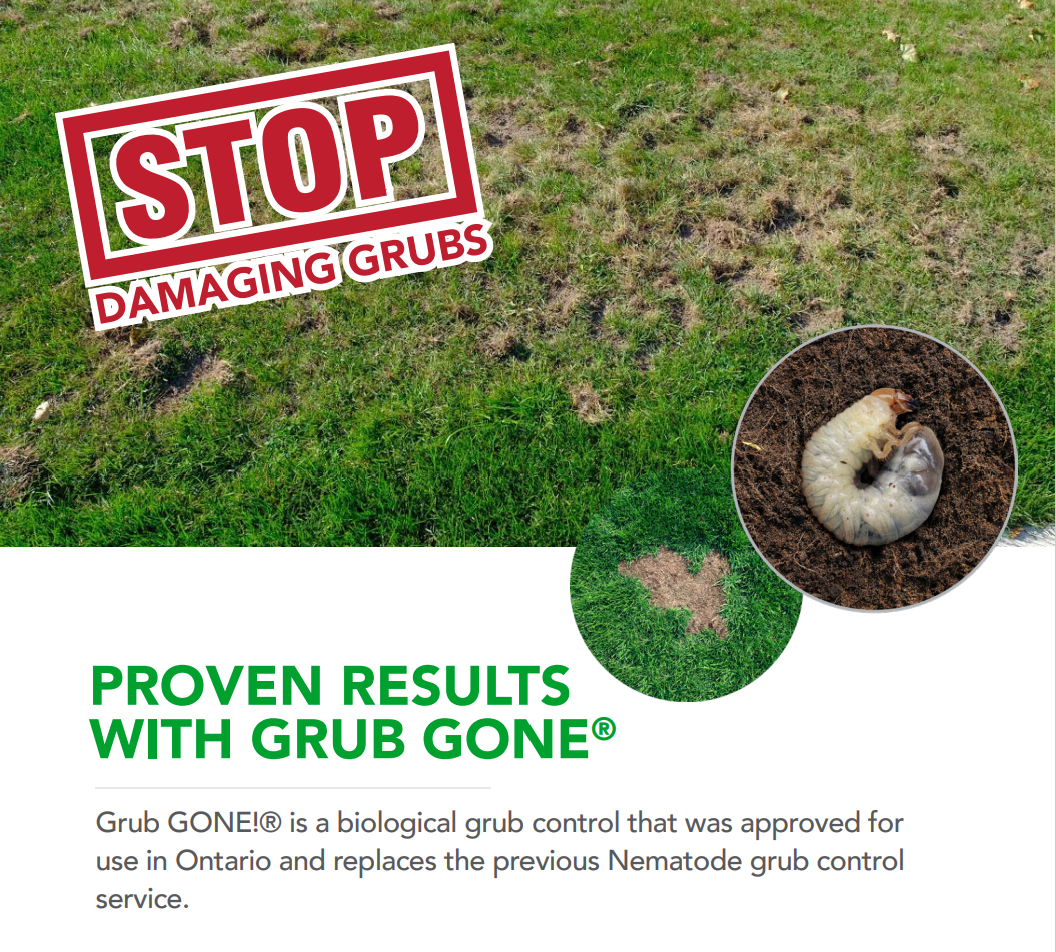 Stop Damaging Grubs With GRUB GONE®