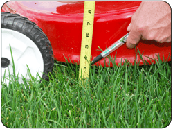 Mowing Tips