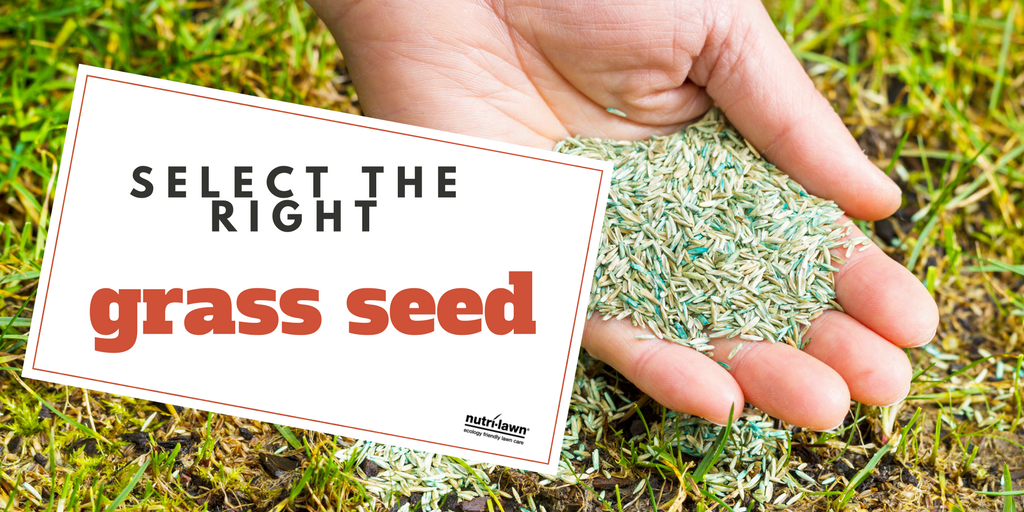 Selecting the right grass seed is very important.