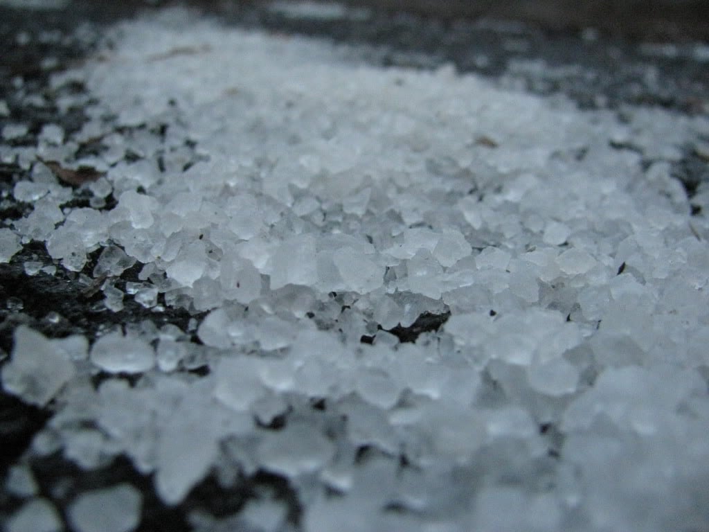 How to Combat Salt Damage On Your Lawn