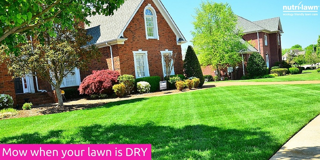 Mow your lawn when it is dry.