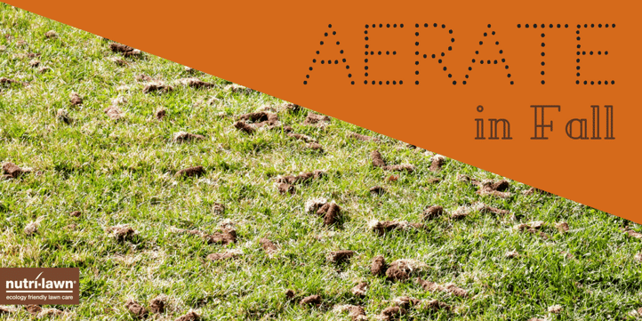When your lawn is aerated, a machine mechanically removes small cores of soil and thatch from the lawn, which are left on the surface to be reincorporated.