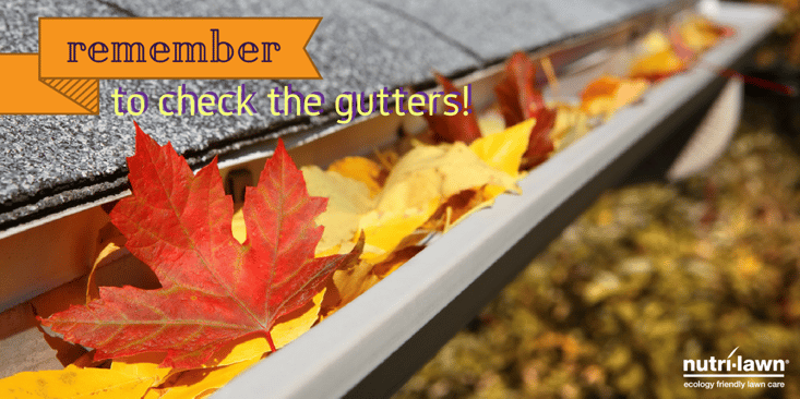 Before you finish up, grab the ladder and check those gutters.