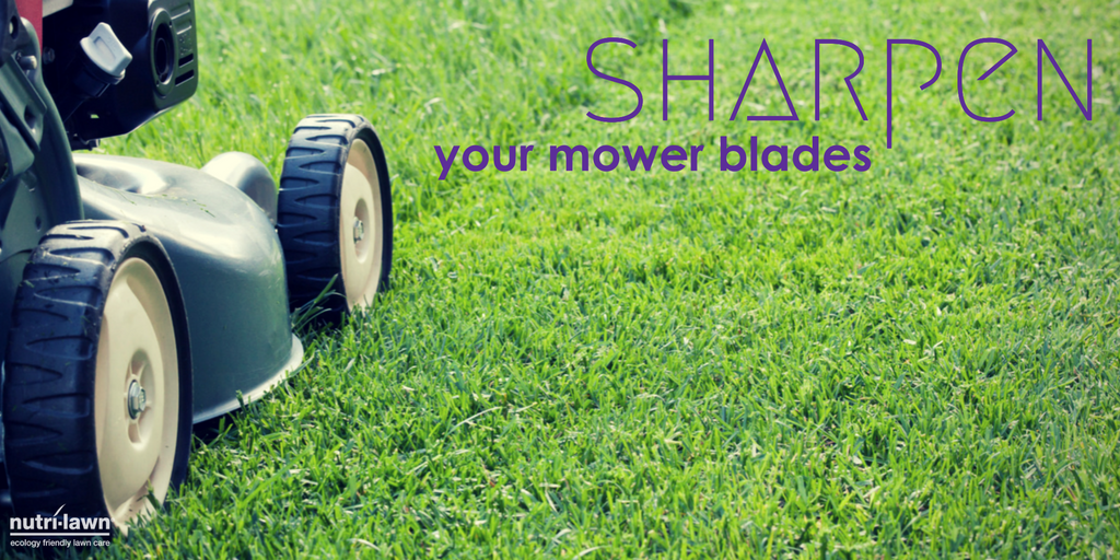 Ensure that your mower blades are always sharp.