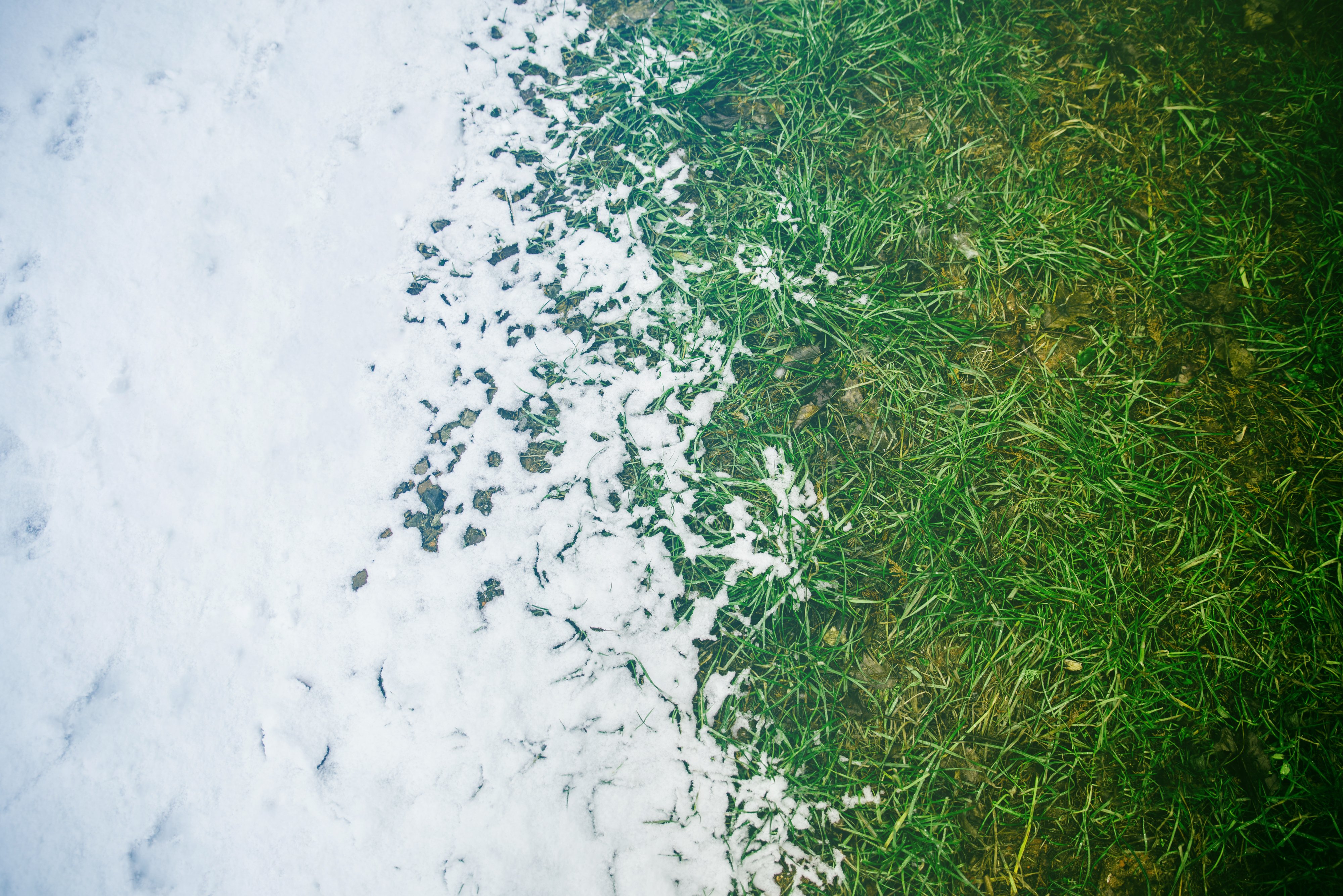 Be patient with your lawn after winter.