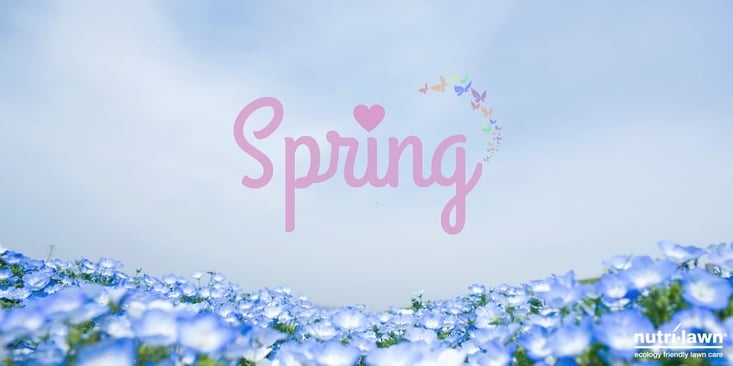 Spring_twitter.jpg