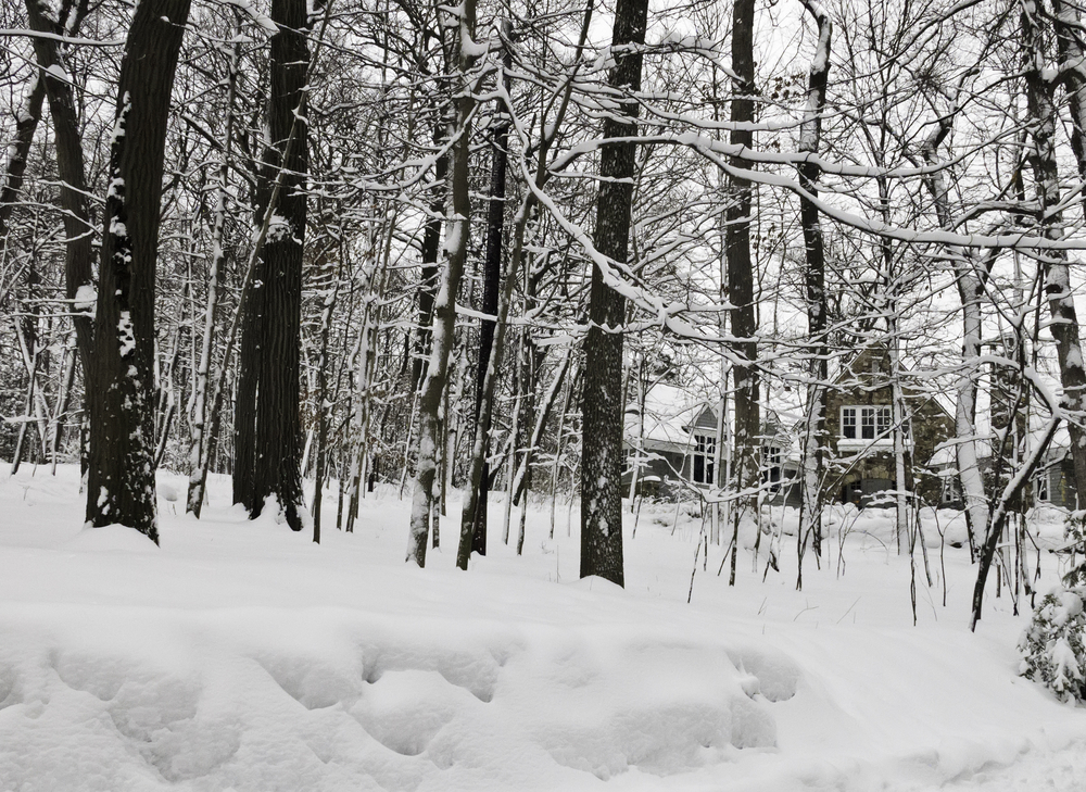 Lawns go dormant in winter.