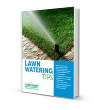 Watering_Tips