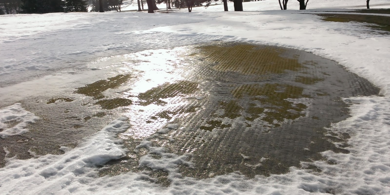 How Does Ice Damage Affect Your Lawn?