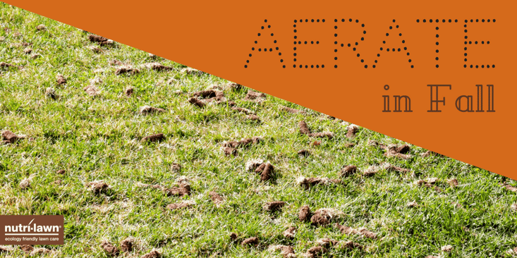 Aeration helps loosen compacted soil.