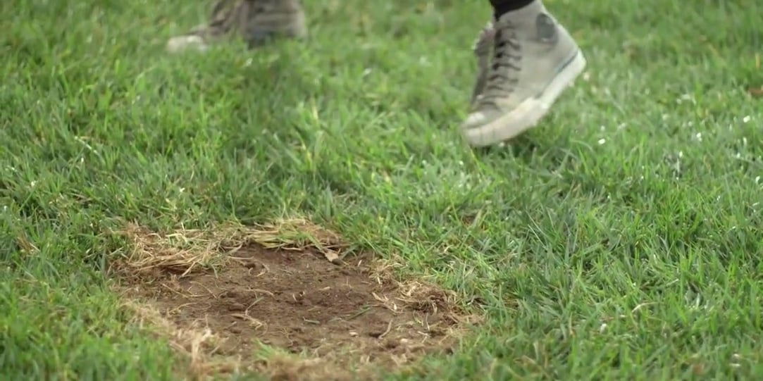 How To Fill In Bare Areas Of Your Lawn