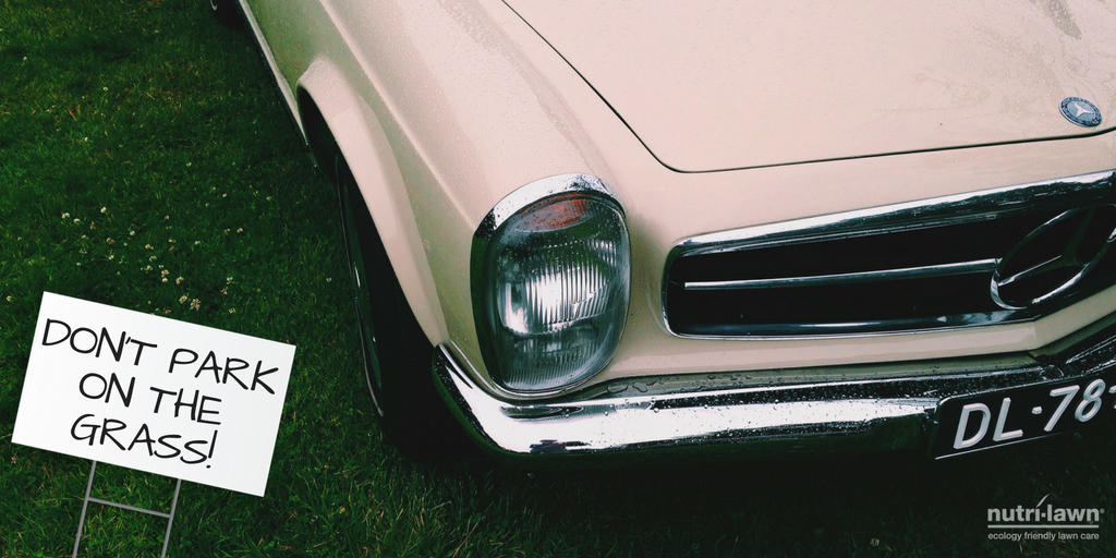 If you suspect that soil compaction may be an issue, a quick and easy way to check is by using a soil probe.