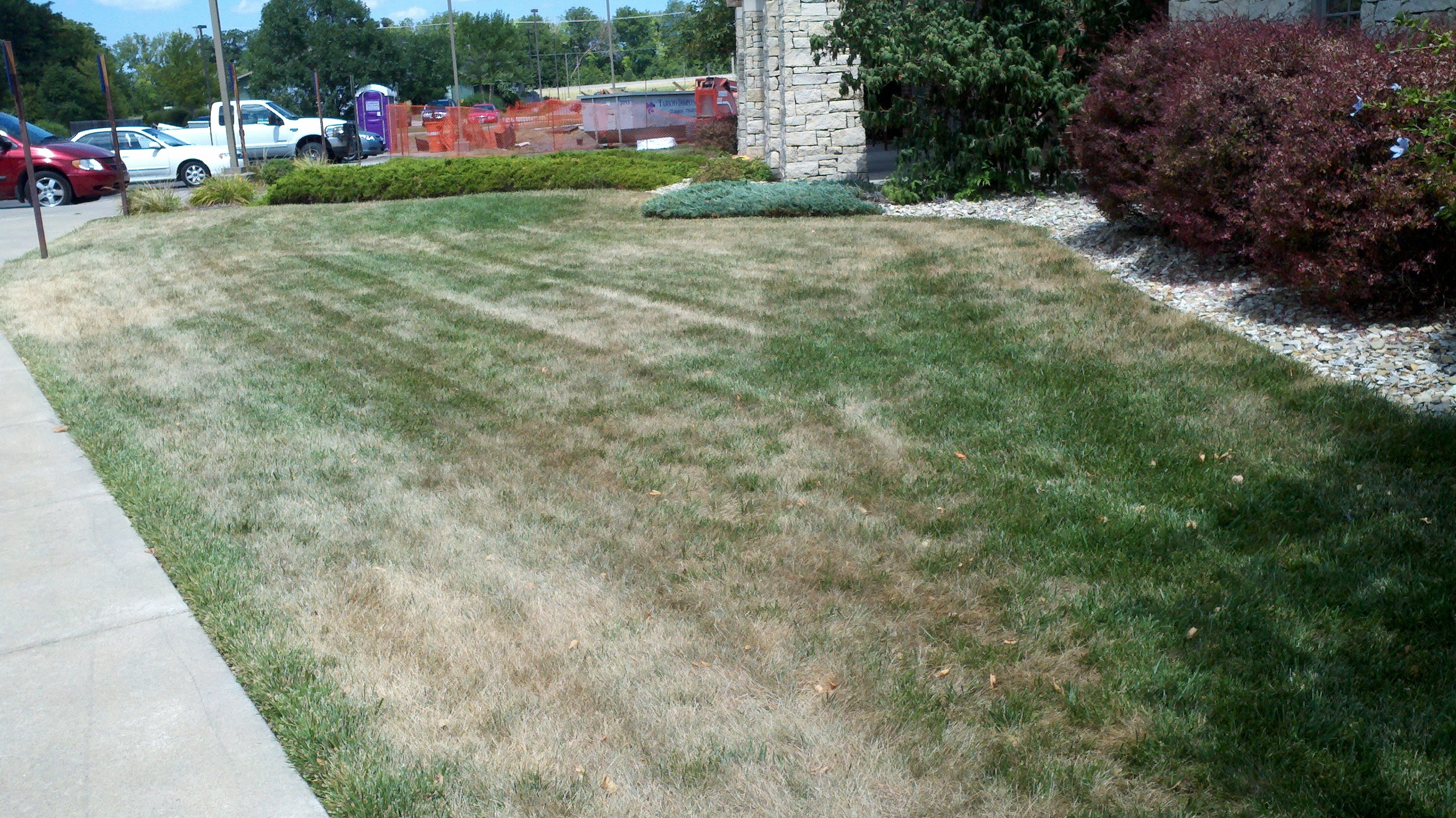 Grass is a plant, and like any other plant has growing conditions it prefers and will thrive in.