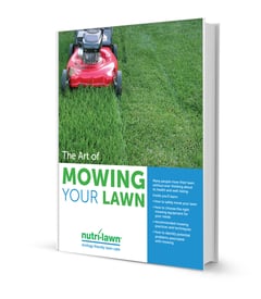 lawn-mowing-guide