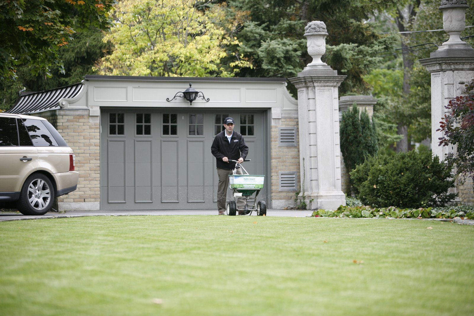 Fertilizing in spring is incredibly important.