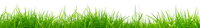 footer-grass