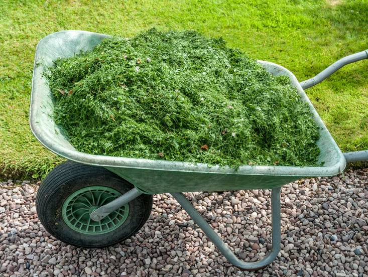 grass-mulch.jpg