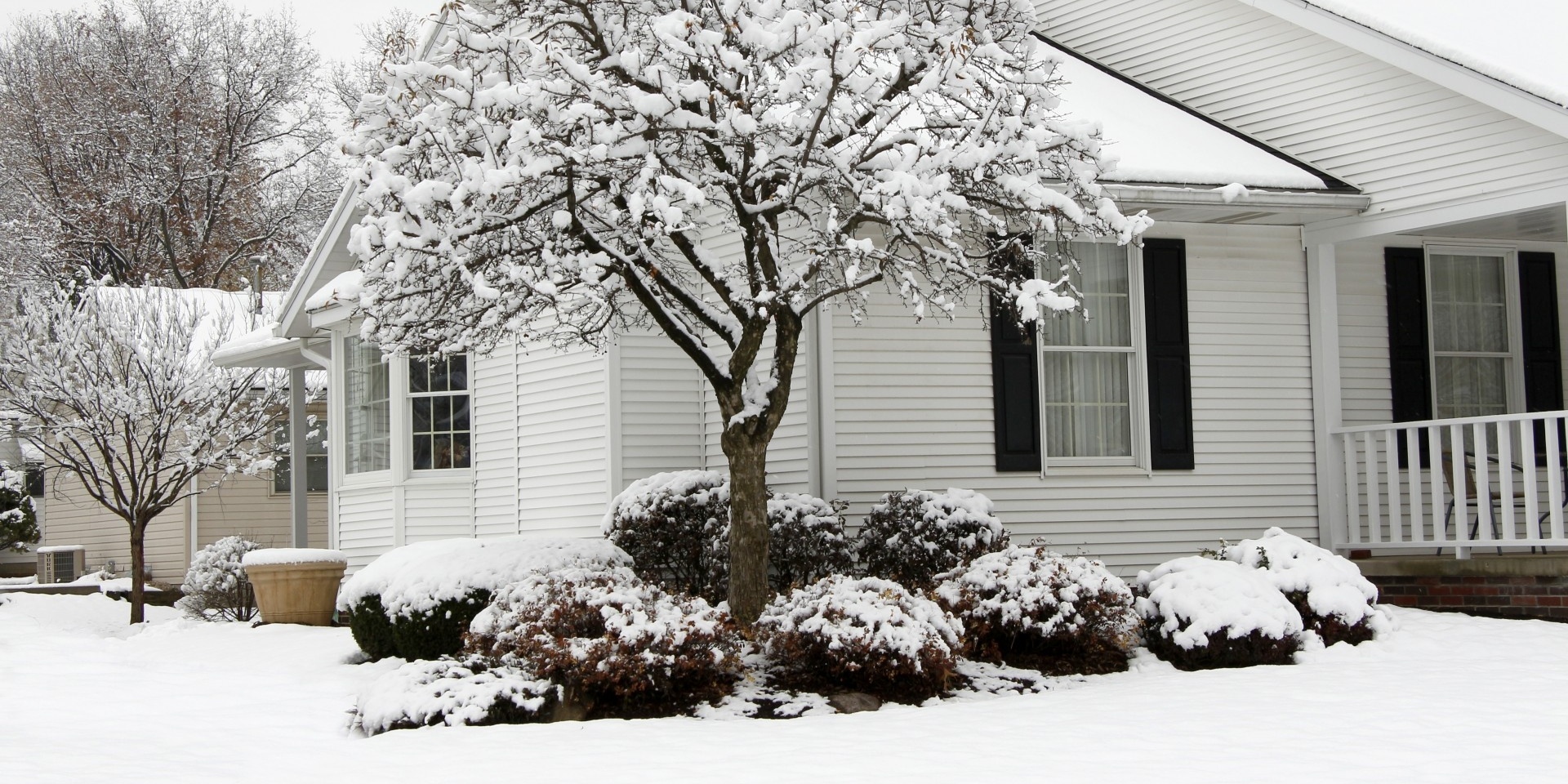 Heavy snow and ice can bend and break tree branches after a storm, leading to damaged branches.