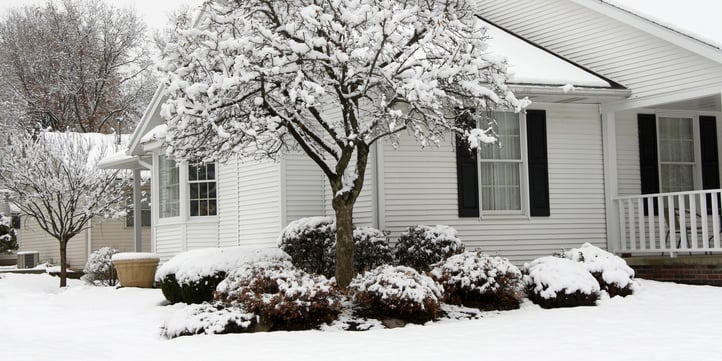 Plant hardiness can tell us more about which species are more susceptible. 