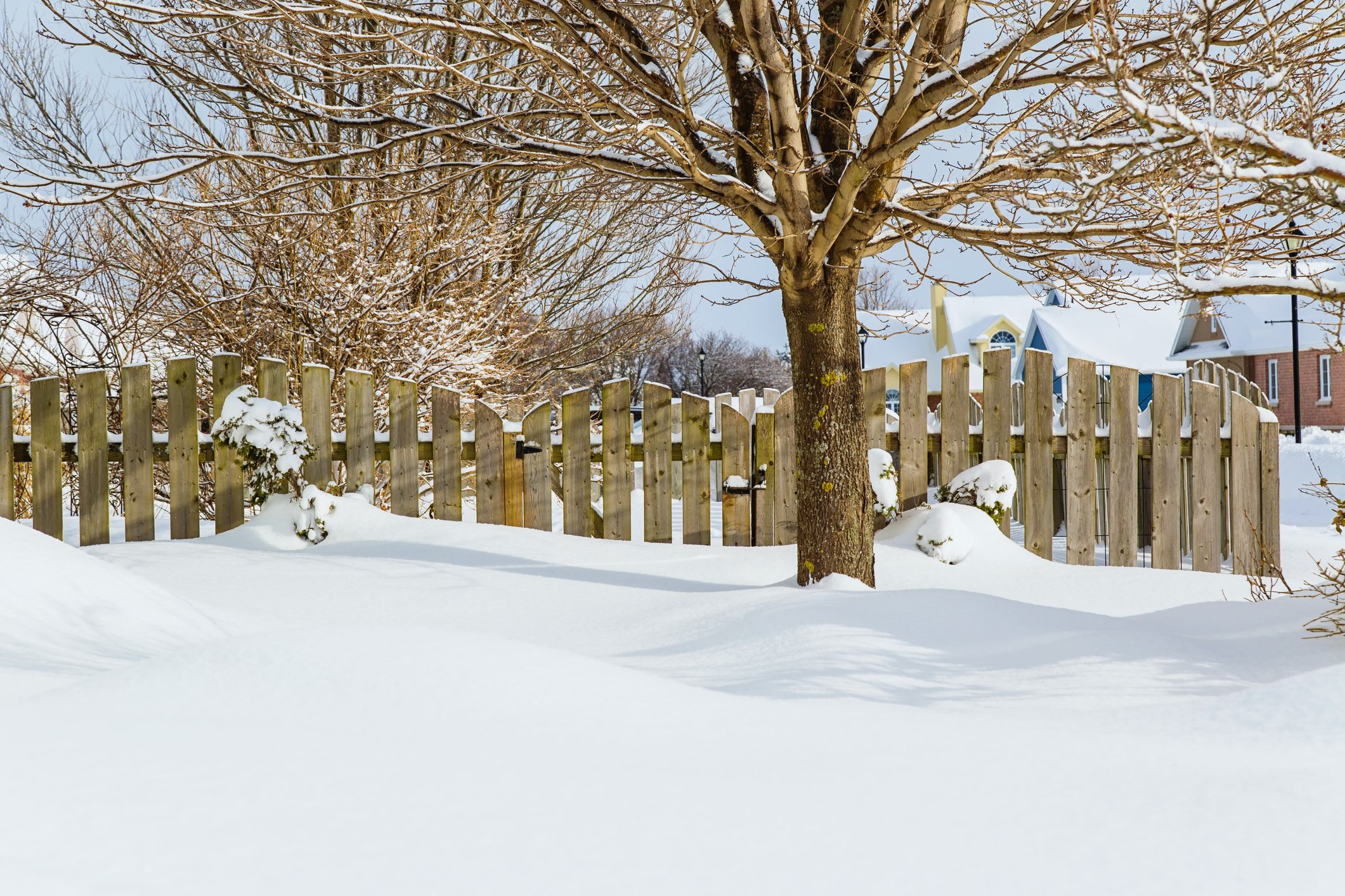 Snow and ice can be damaging for your lawn. 