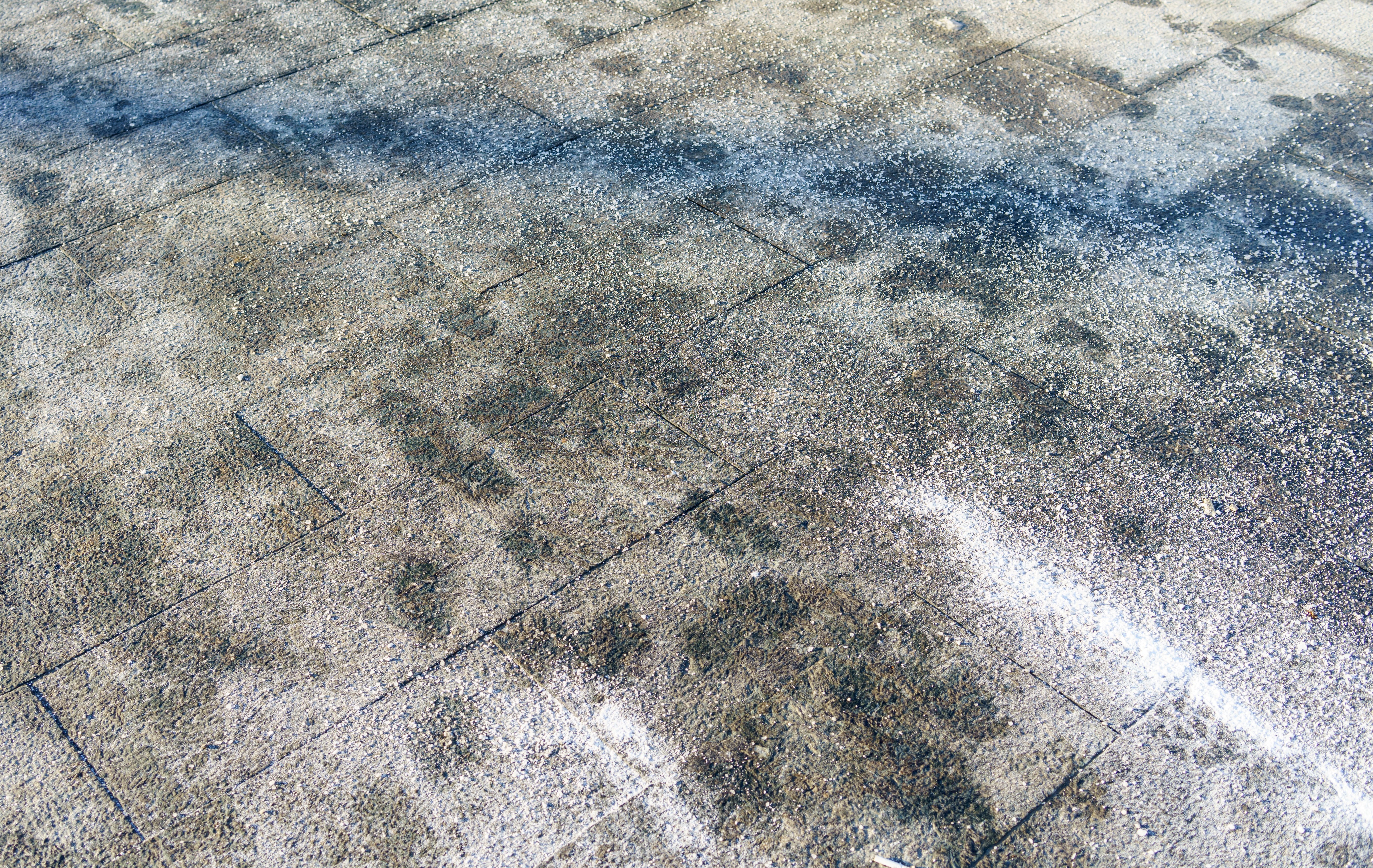 Lawns in Canada can suffer from the damaging effects that snow and ice can cause over the winter months. 