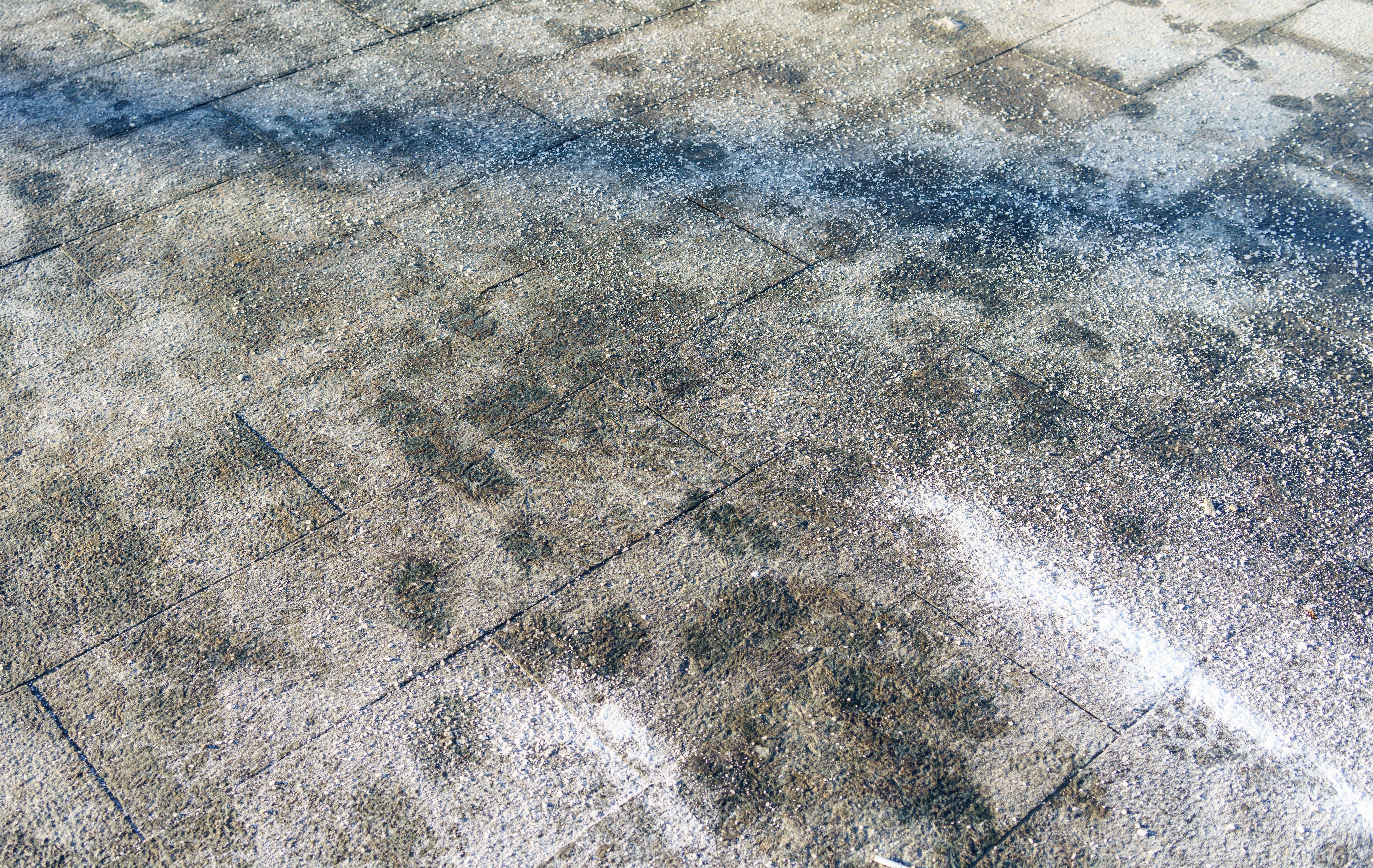 Lawns in Canada can suffer from the damaging effects that snow and ice can cause over the winter months.