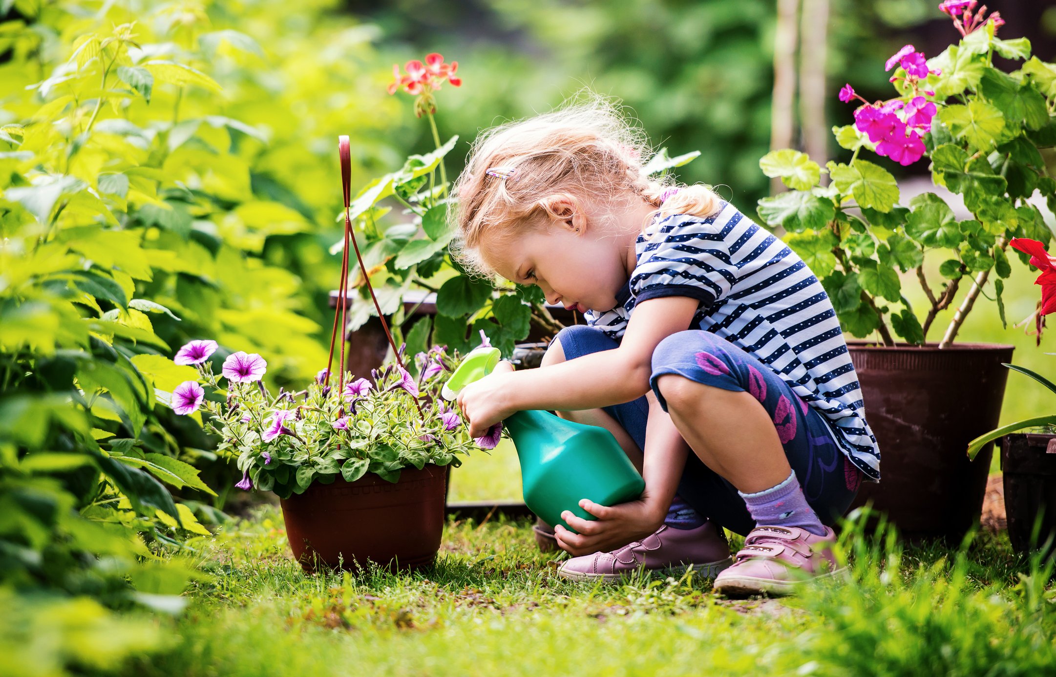 Soil quality can be improved in the spring.