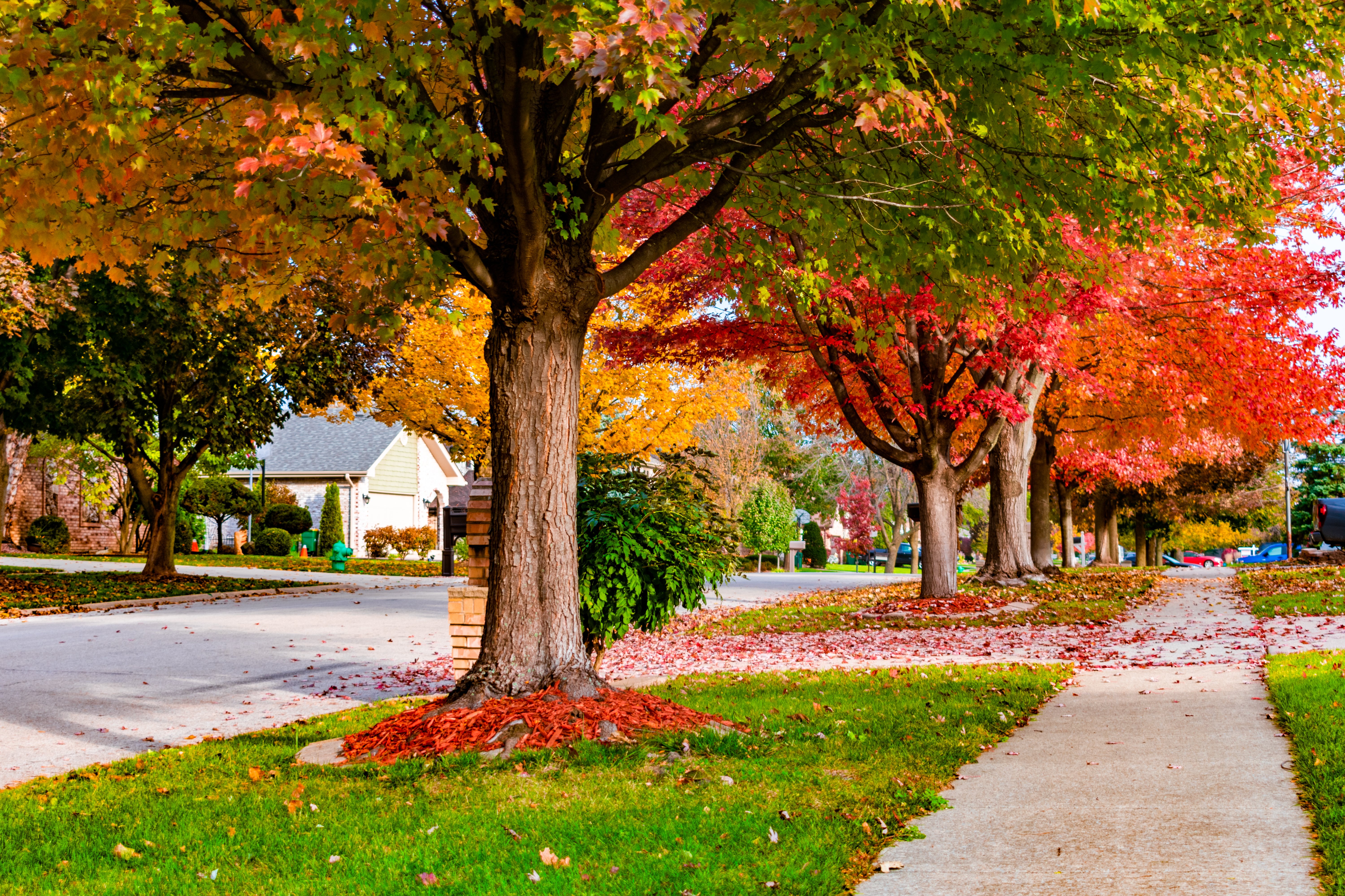 Your lawn needs care in the fall.