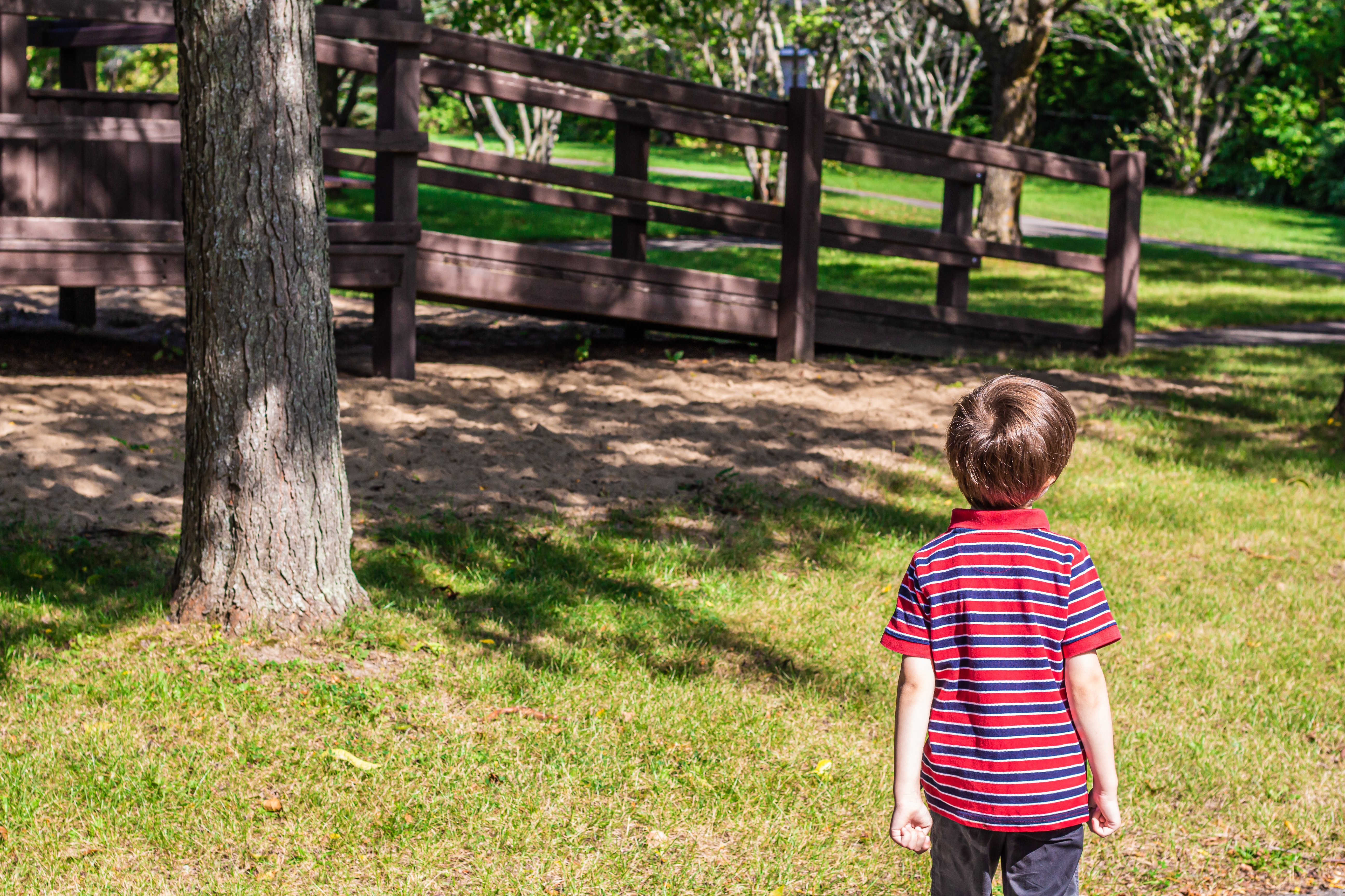 There are three recommended options for dealing with summer stress.
