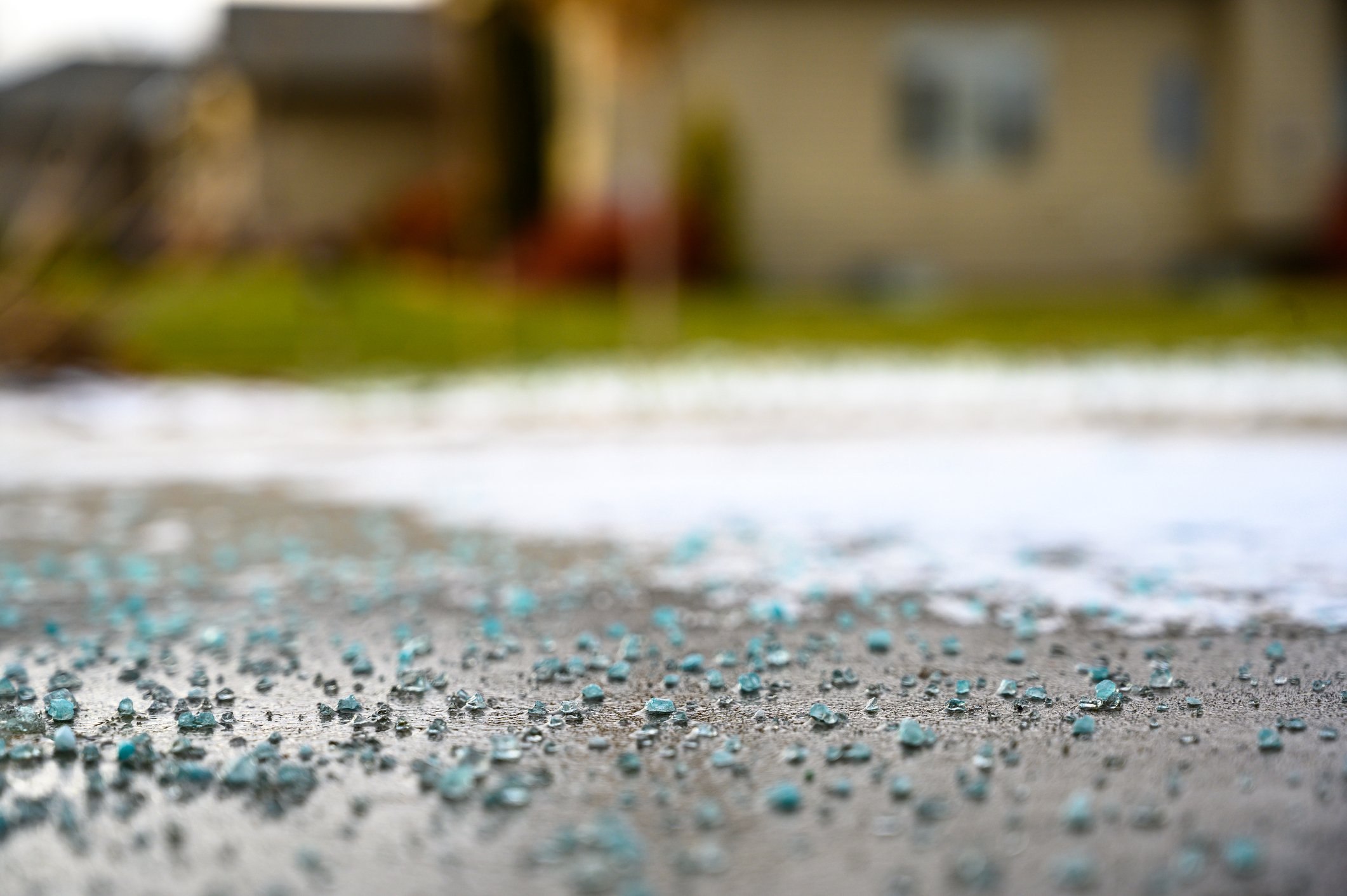 Many lawns suffer from salt damage in the winter. 