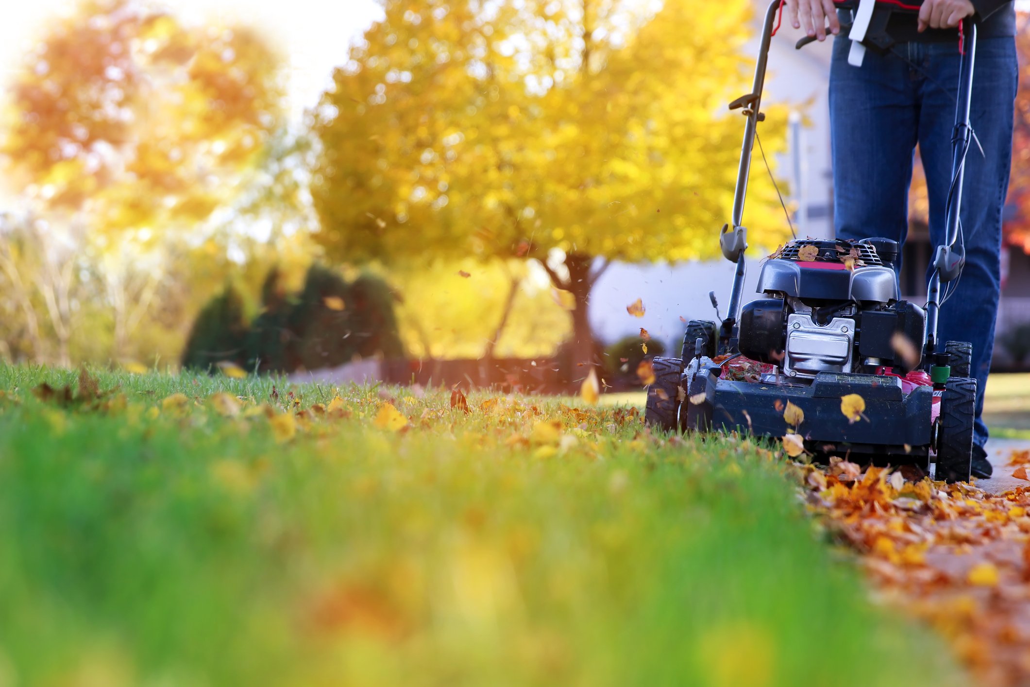 Fall is a great time for lawn care.