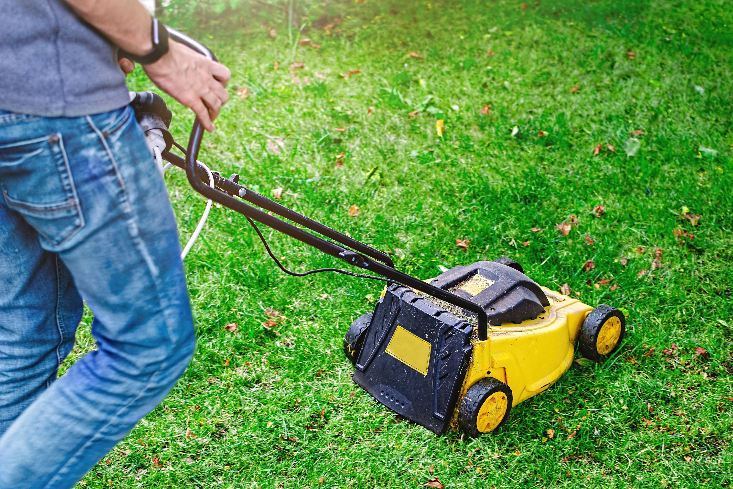 Proper mowing techniques are essential in late fall.