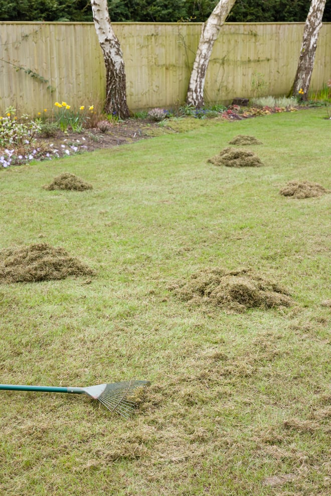 Don't Make These Spring Lawn Care Mistakes