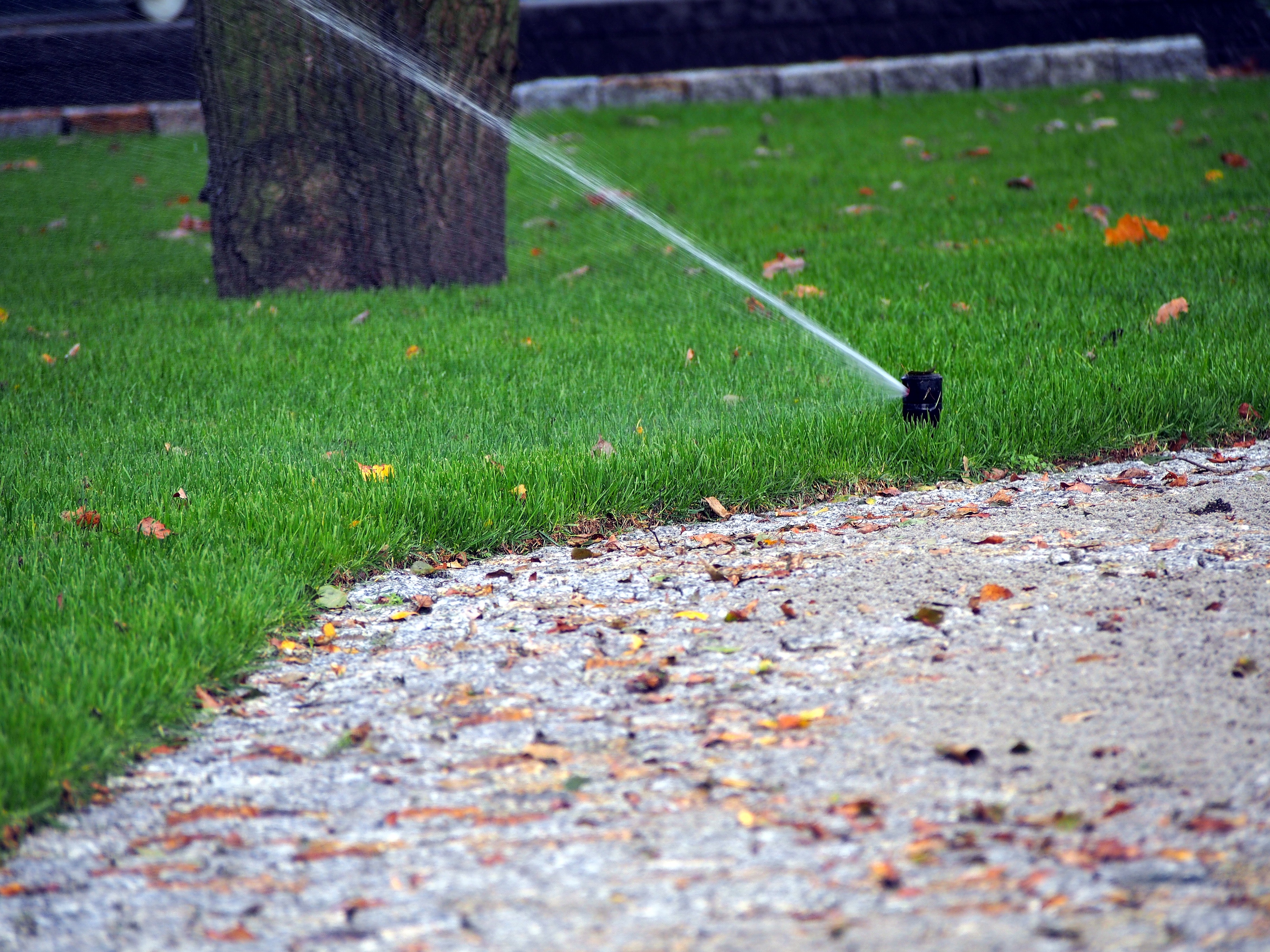 Getting all of the water out of your irrigation system is incredibly important.