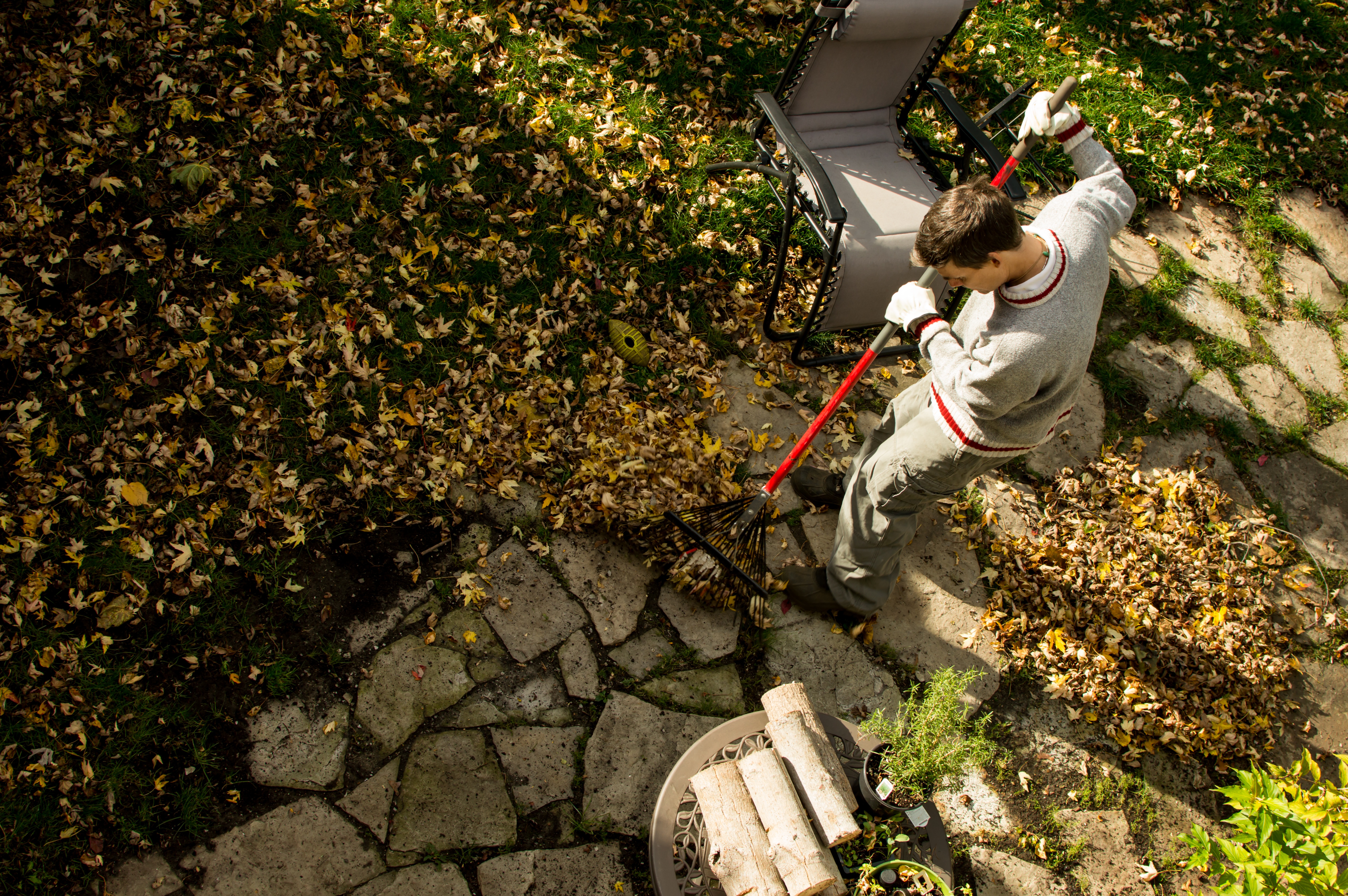 If leaves are left unraked, they can pile up to the point of suffocating the grass, causing dead patches.