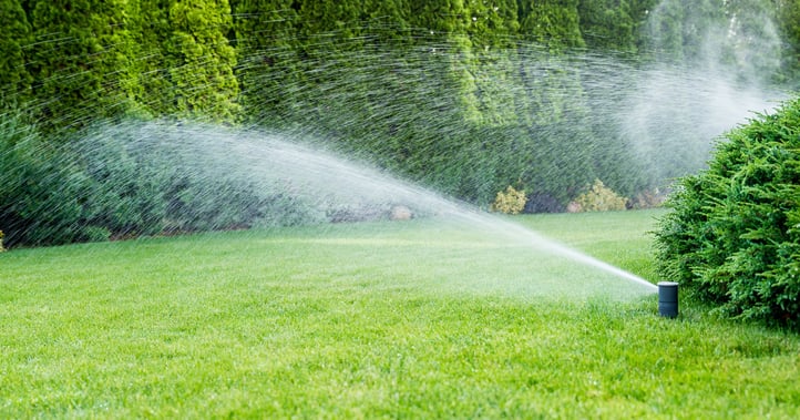 Your irrigation blowout should be done before winter