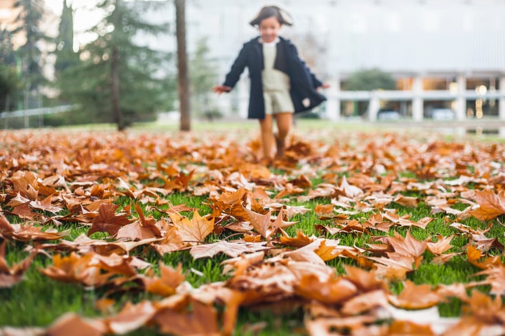 late-fall-lawn-care.jpg