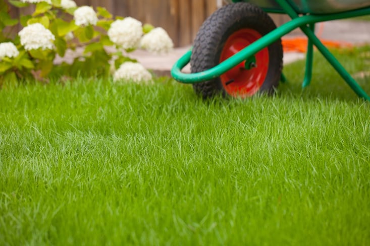 lawn-care-1.jpg